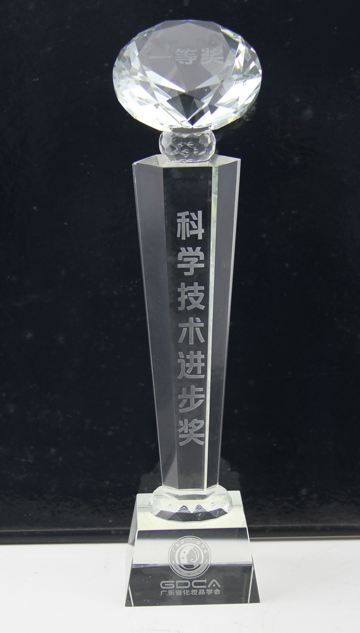 廣東省化妝品學(xué)會科學(xué)技術(shù)進步獎獎杯.jpg